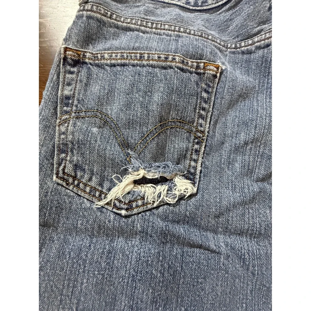 Levis levi 550